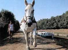 hallageGN.jpg (7334 octets)